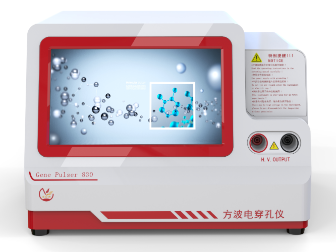 电转染新突破：提升基因导入效率的关键技术解析